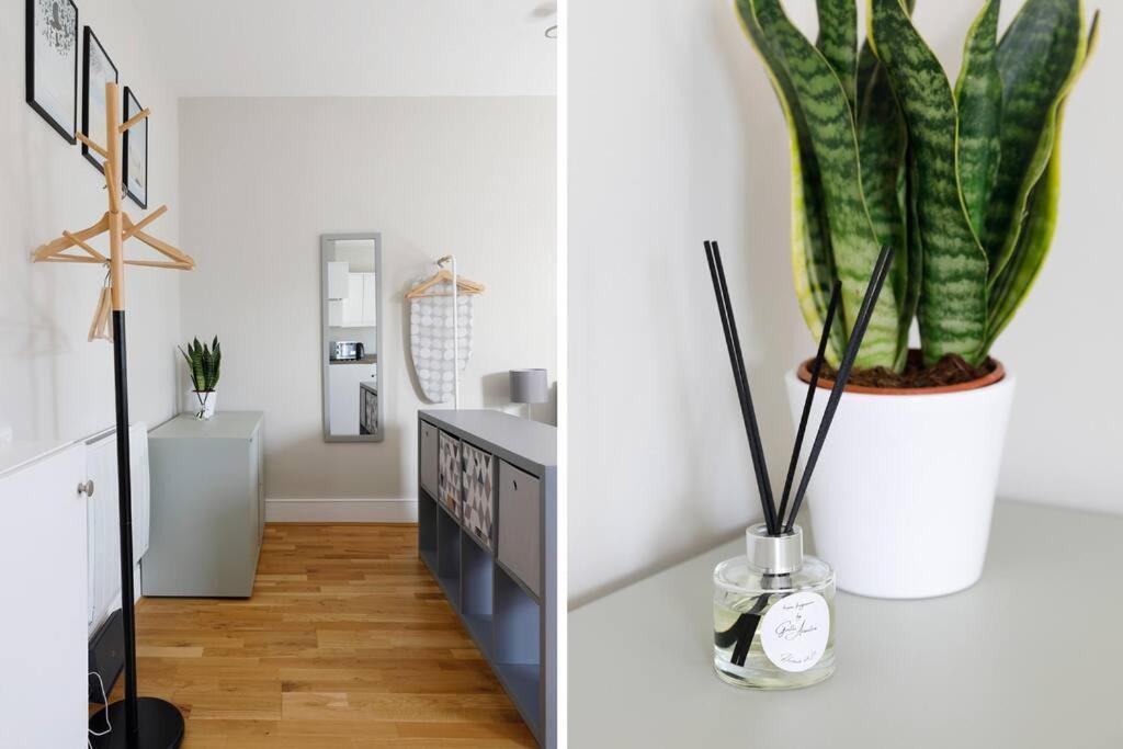 Cosy Studio Flat Moments From The Beach, Kemptown 브라이턴 외부 사진